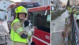 FF-Kommandant Stefan Lentner brachte das Tier ans Ufer (li.), nachdem es auf einem Stein im ...