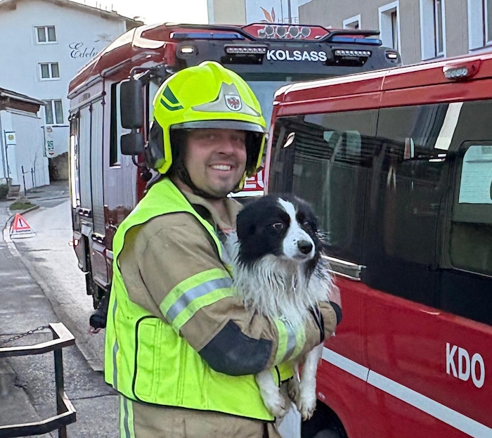 Kommandant Stefan Lentner brachte das verängstigte Tier ans sichere Ufer.