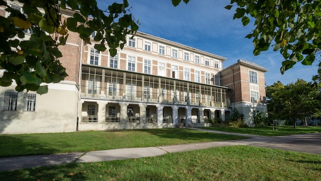 2027 sollen Künstler im früheren Pflege-Pavillon einziehen.