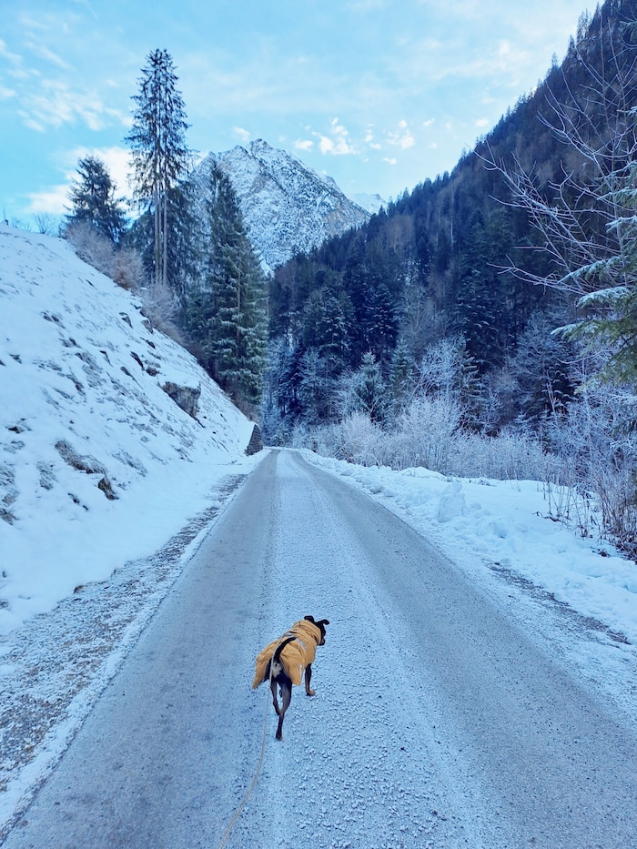 Vorsicht ist auf den frostigen Pfaden geboten.