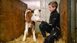 Florian Mitter, Bauernbub aus Vorderweißenbach, liebt die große Bühne.