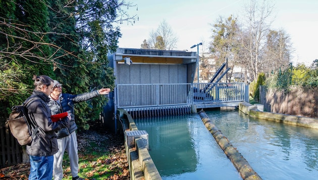 Auch beim Lokalaugenschein der „Krone“ war das Surren am Almkanal deutlich zu hören.