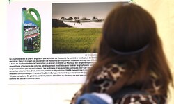 Die Proteste gegen Glyphosat waren jahrzehntelang heftig – nun wurde eine richtungsweisende ...