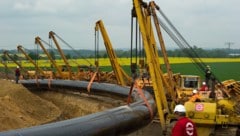 Große Sorge um die Umwelt: Ölmassen ergossen sich in die Brandenburger Landschaft (Archivbild).