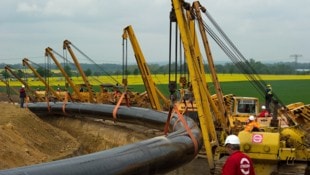 Große Sorge um die Umwelt: Ölmassen ergossen sich in die Brandenburger Landschaft (Archivbild).