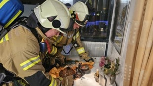 Die Feuerwehr musste wegen eines brennenden Gestecks ausrücken ...