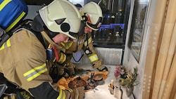 Die Feuerwehr musste wegen eines brennenden Gestecks ausrücken ...