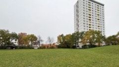 Geht´s nach Linzplus soll hier der Mädchenpark entstehen.