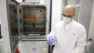 Im Nährmedium sind unter anderem Proteine und Vitamine. Sie helfen den darin enthaltenen ...