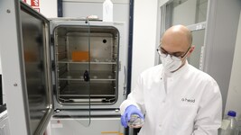 Im Nährmedium sind unter anderem Proteine und Vitamine. Sie helfen den darin enthaltenen ...