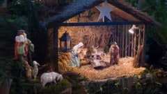 Ungewöhnliches Versteck: Die Polizei schnappte den Flüchtigen schließlich doch (Symbolbild).