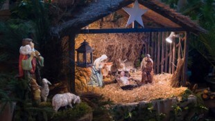 Ungewöhnliches Versteck: Die Polizei schnappte den Flüchtigen schließlich doch (Symbolbild).