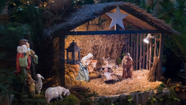 Ungewöhnliches Versteck: Die Polizei schnappte den Flüchtigen schließlich doch (Symbolbild).