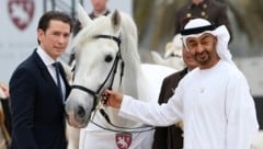 Was wurde aus „Neapolitano Theodorosta“, dem verschenkten Lipizzanerhengst?