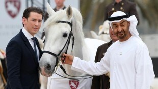 Was wurde aus „Neapolitano Theodorosta“, dem verschenkten Lipizzanerhengst?