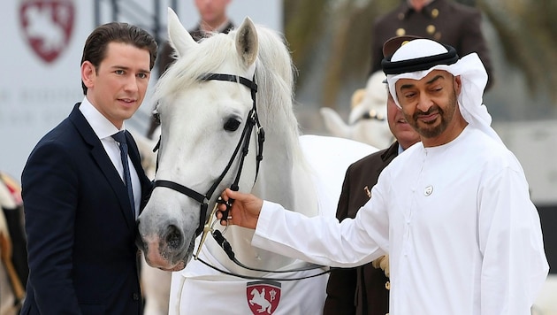 Was wurde aus „Neapolitano Theodorosta“, dem verschenkten Lipizzanerhengst?