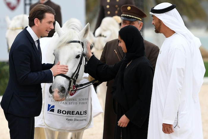 Der Lipizzaner wurde als Geschenk für die Tochter des Scheichs überreicht – doch Überraschung ...