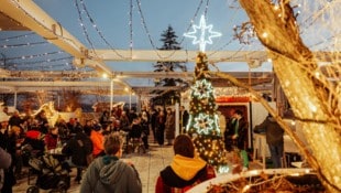 Husmas am Dach des Möbelriesen am Westbahnhof.