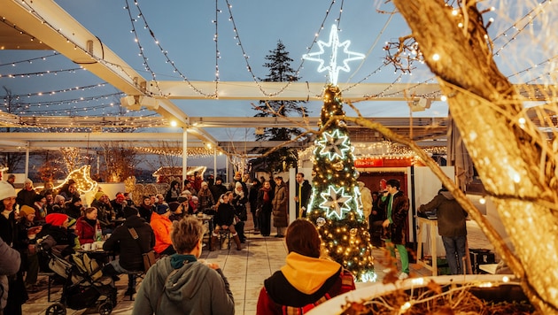 Husmas am Dach des Möbelriesen am Westbahnhof.