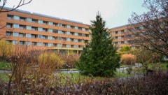 Auch in Wels sorgt die Suche nach Mitarbeitern in Pflegeheimen für Debatten  (Symbolfoto).