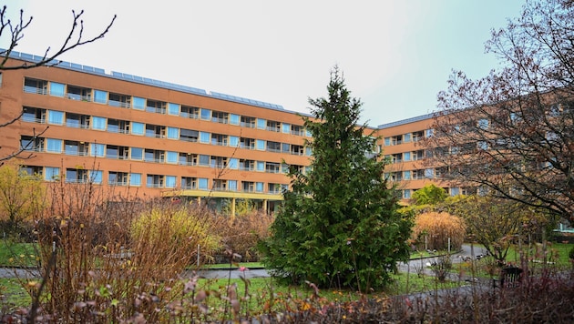 Auch in Wels sorgt die Suche nach Mitarbeitern in Pflegeheimen für Debatten (Symbolfoto).