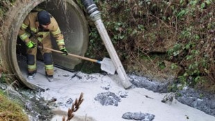 Die Feuerwehr kämpfte gegen die Molke an.