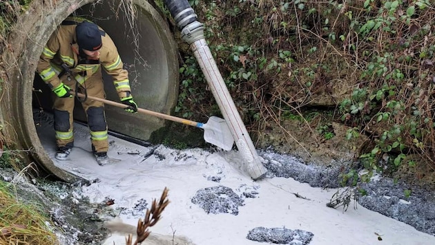 Die Feuerwehr kämpfte gegen die Molke an.