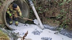 Die Feuerwehr kämpfte gegen die Molke an.