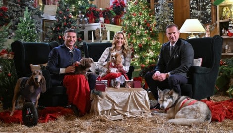 Ventre und Hertel führen durch die „Weihnachten auf Gut Aiderbichl“-Sendung. Dieter Ehrengruber ...