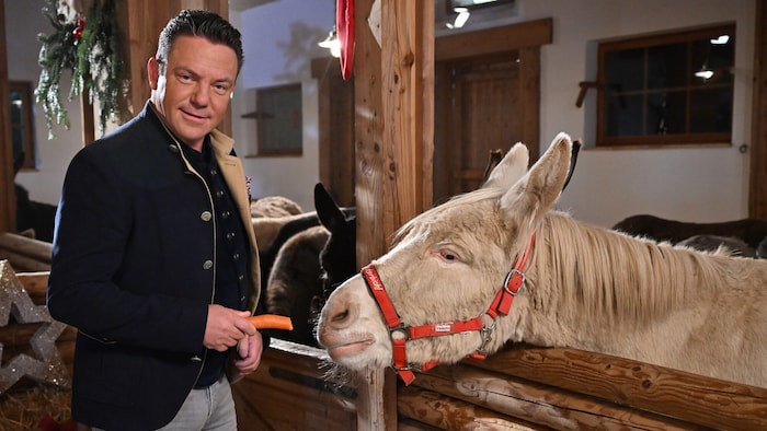 Stefan Mross mit Esel.