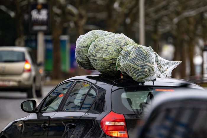 So darf der Christbaum aufs Autodach.
