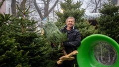 Händler Peter Müller verkauft auf seinem Stand in Döbling nur Bäume mit der höchsten Qualität.