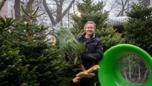 Händler Peter Müller verkauft auf seinem Stand in Döbling nur Bäume mit der höchsten Qualität.