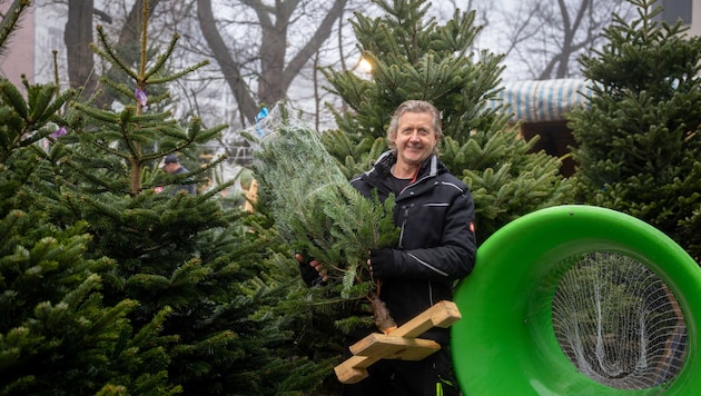 Händler Peter Müller verkauft auf seinem Stand in Döbling nur Bäume mit der höchsten Qualität.