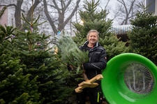 Händler Peter Müller verkauft auf seinem Stand in Döbling nur Bäume mit der höchsten Qualität.