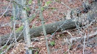 Der Verletzte musste am Unglücksort reanimiert werden (Symbolfoto).