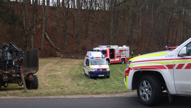 Forstarbeiten fordern leider immer wieder Schwerverletzte und Todesopfer. (Symbolbild)
