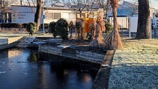 Zugefroren: der Stadtsee in Horn im Winter. Doch Badefans hält das eisige Wasser nicht ab. 