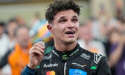 Lando Norris