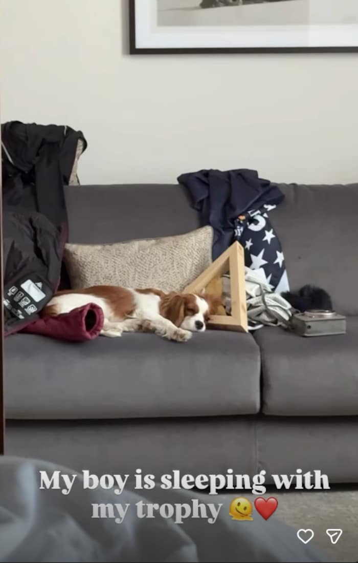 Da hat es sich jemand mit der Trophäe ganz schön gemütlich gemacht.