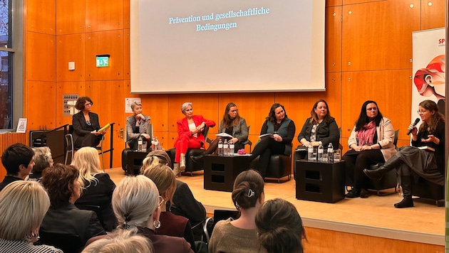 Die SPÖ Frauen Kärnten luden zur Podiumsdiskussion.