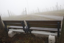Wer Sonne will, muss rauf auf die Berge – im Tal regiert weiter der Nebel (Symbolbild).
