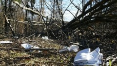 Der Notarzt konnte dem Landwirt nicht mehr helfen (Symbolfoto).