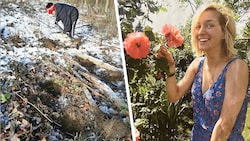 Unzählige Grabungen hat Brigitta Scharinger in Wäldern, in denen sie die Leiche ihrer Tochter ...