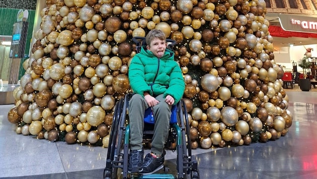 Willi ist trotz allem ein Sonnenschein.