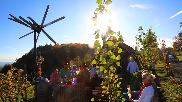 Kärntner sind schnell in den Buschenschenken der Weinstraße.