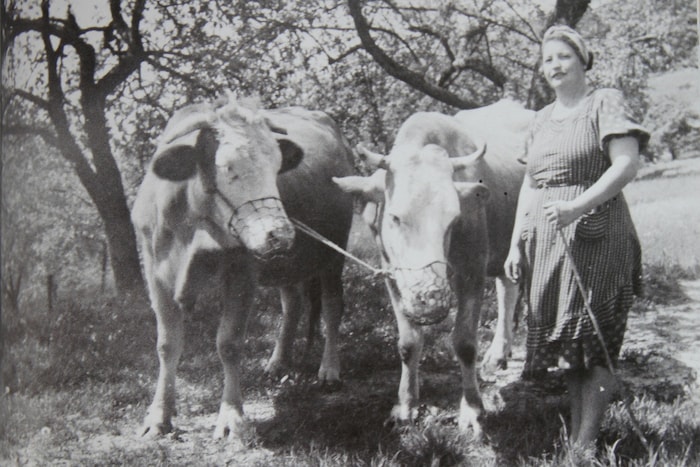Historische Aufnahmen aus dem Buch „Vergiss mein Nicht 3: Aufdenkt und zruckgschaut“ geben ...