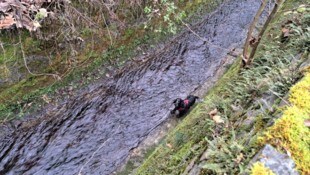 Das Tier stürzte ins Bachbett im Kärntner Vituspark.