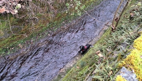 Das Tier stürzte ins Bachbett im Kärntner Vituspark.