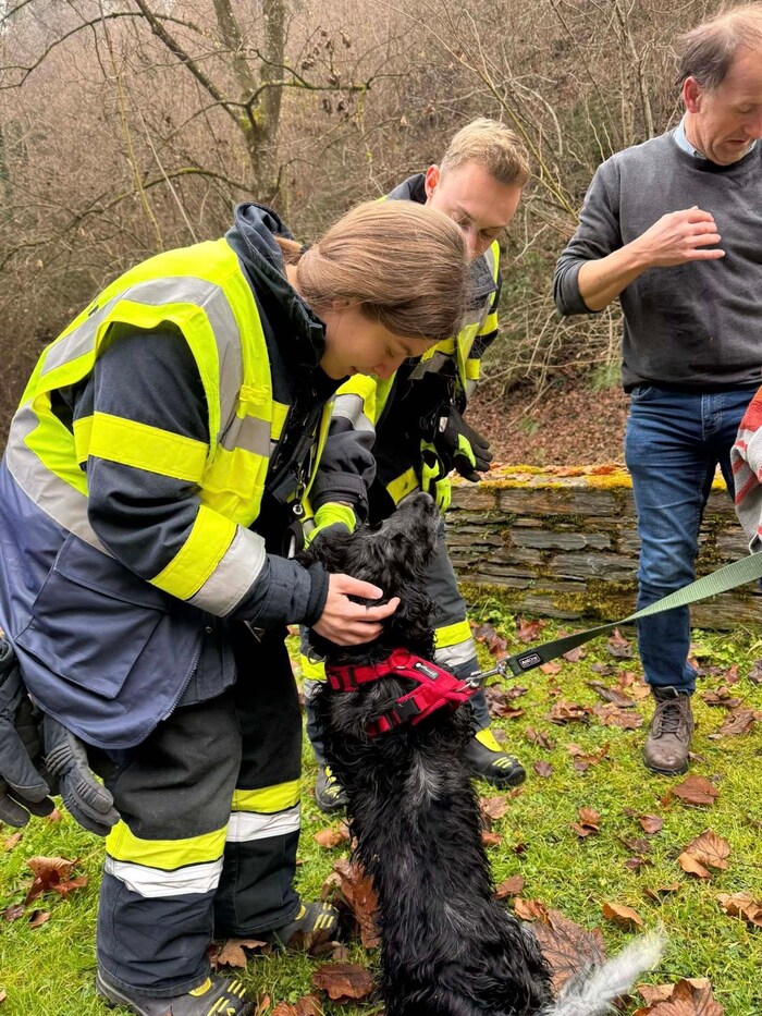 Der Vierbeiner bedankte sich bei seinen Rettern